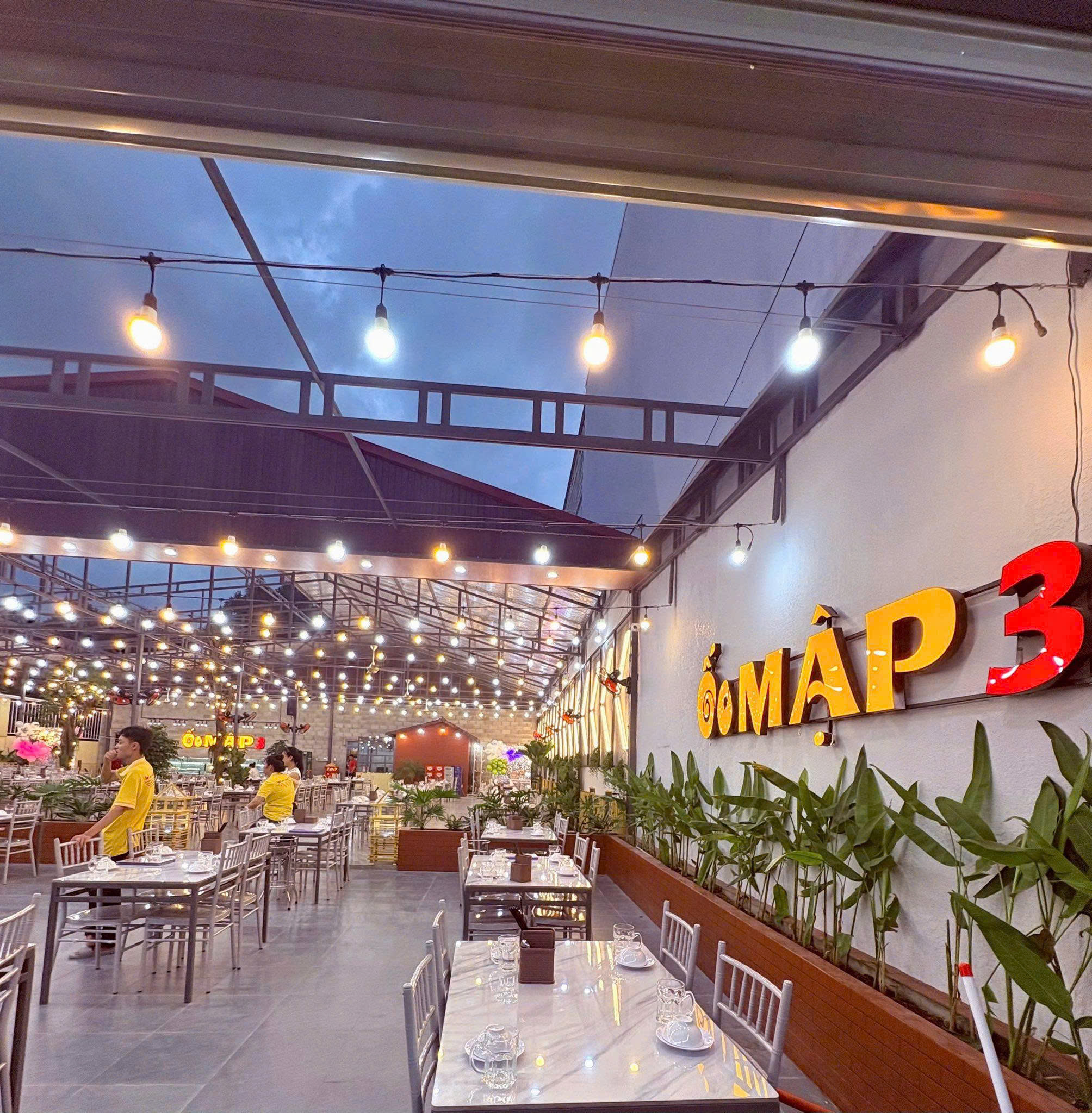 350 Ghe Tiffany Xam Bac Quan Oc Map 3 Vung Tau