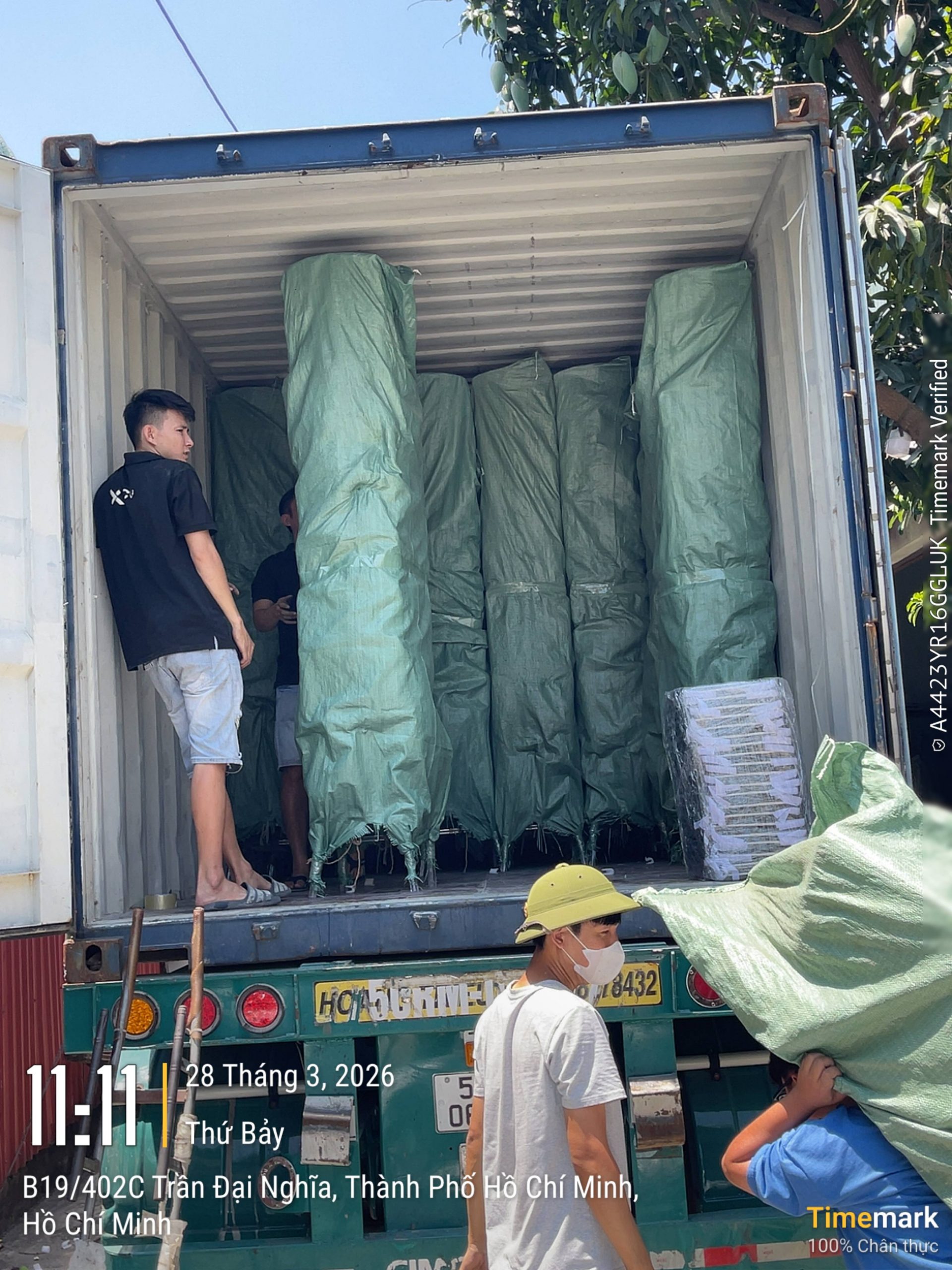 Xcom Successfully Exports a Container of Transparent Napoleon Chairs to the US Market | Xcom.vn Xcom Successfully Exports a Container of Transparent Napoleon Chairs to the US Market 4 - Nội thất Xcom