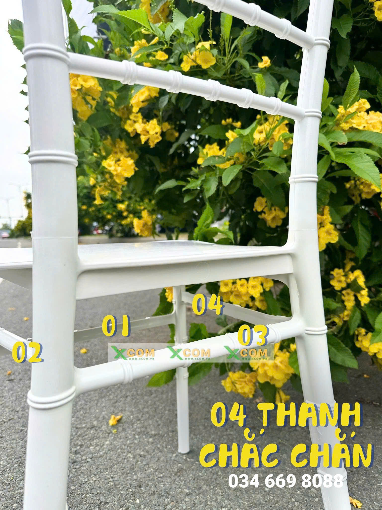 Ghế Chiavari (Tiffany) Nhựa - Cao Cấp | Xcom.vn Ghế Chiavari (Tiffany) Nhựa - Cao Cấp - Ảnh 2